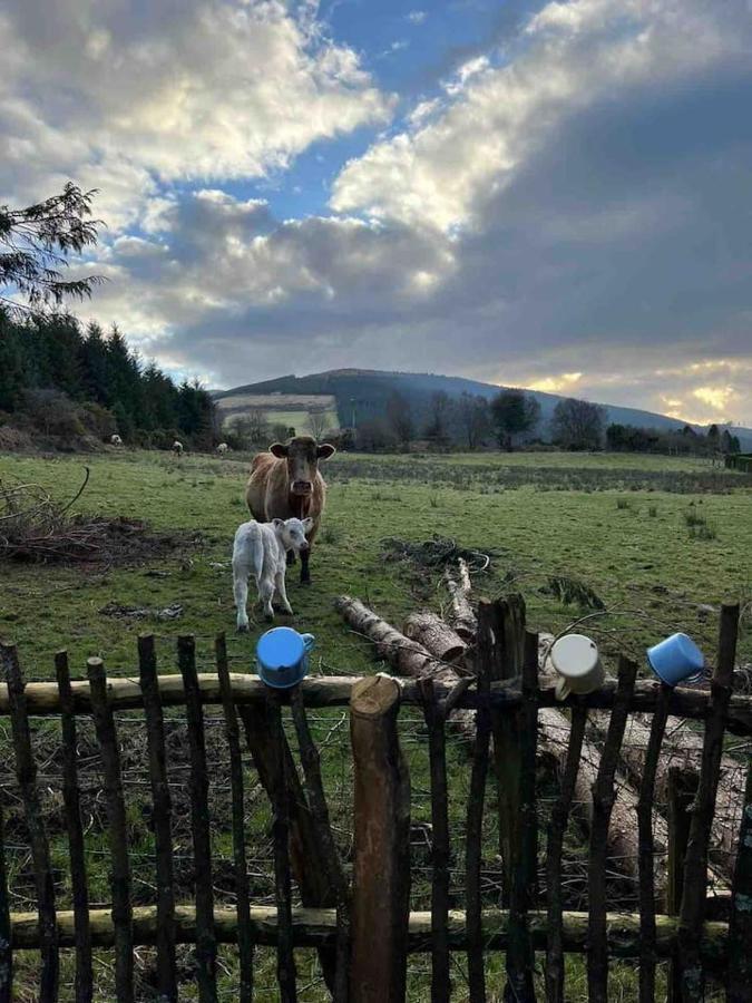 Aughavannagh Yurt Glamping Aughrim Eksteriør billede