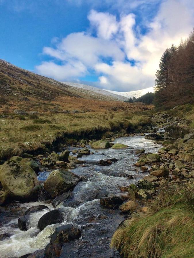 Aughavannagh Yurt Glamping Aughrim Eksteriør billede
