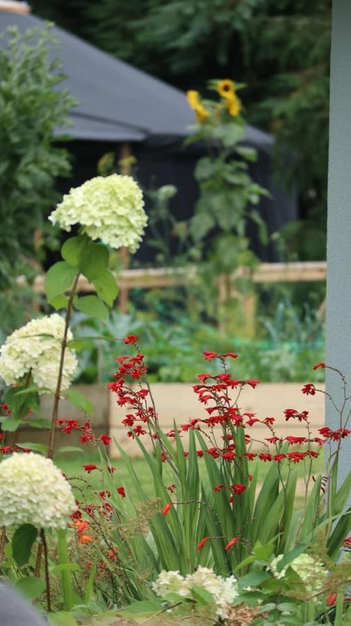 Aughavannagh Yurt Glamping Aughrim Eksteriør billede