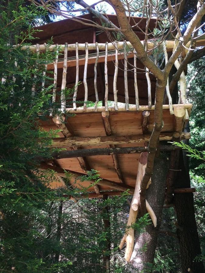 Aughavannagh Yurt Glamping Aughrim Eksteriør billede